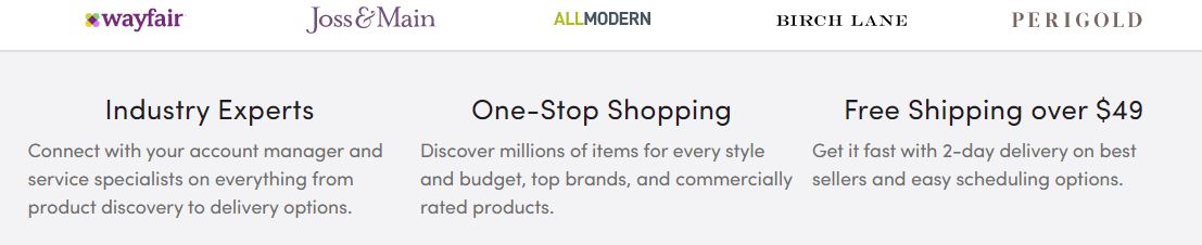 wayfair professional 