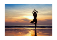 Fitness and Wellness