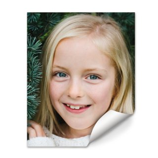 Walmart Photo Posters