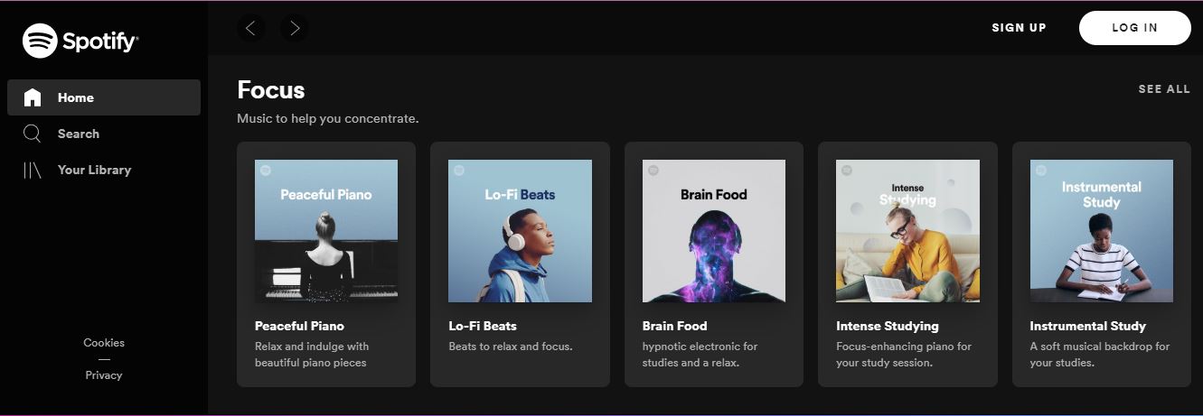 Spotify Web Player