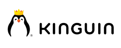 Kinguin UK coupons